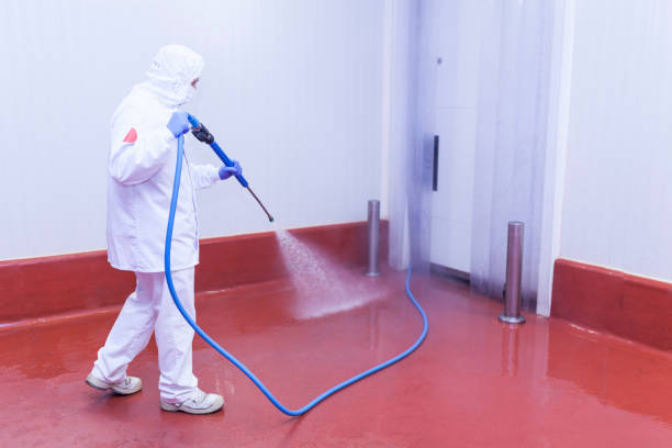 Best Factory Floor Cleaning  in Dunbar, SC