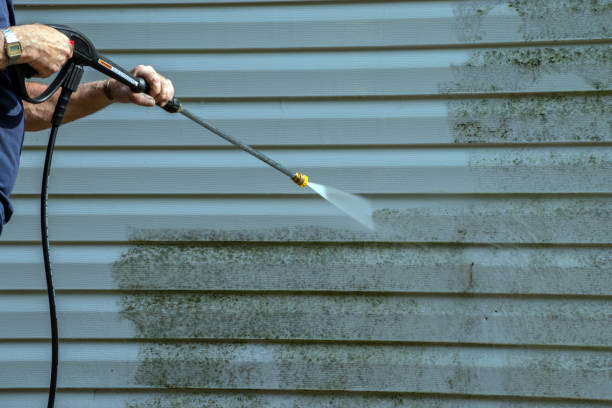 Best Graffiti Removal  in Dunbar, SC